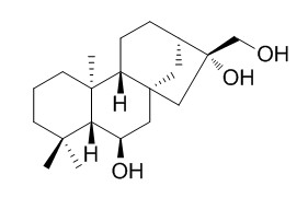 Corymbol