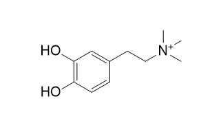 Coryneine