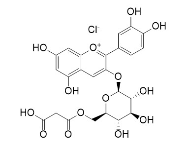 Cyanidin-3-O-(6-malonylglucoside) chloride
