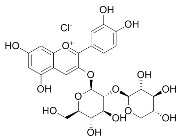 Cyanidin-3-O-sambubioside chloride