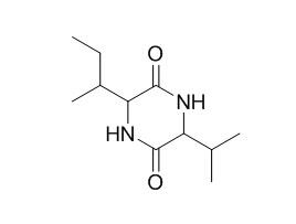 环(异亮氨酸-缬氨酸)二肽