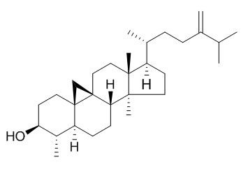 Cycloeucalenol