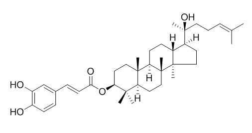 Dammarenediol II 3-O-caffeate