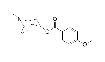 Datumetine