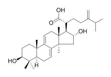 Dehydrotumulosic acid