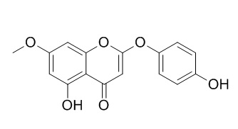 Demethoxy-7-O-methylcapillarisin