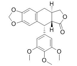 Deoxypodophyllotoxin