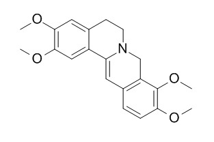 Dihydropalmatine