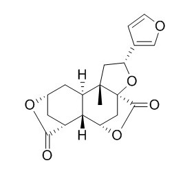 Diosbulbin B