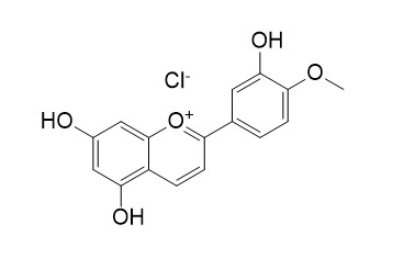 Diosmetinidin chloride