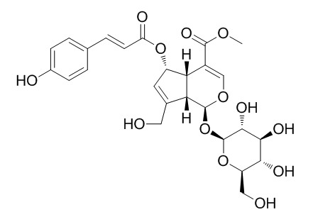 (E)-6-O-(p-coumaroyl)scandoside methyl ester