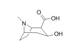 Ecgonine