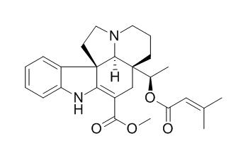 Echitovenidine