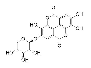 Ellagic acid-4-O-beta-D-xylopyranoside