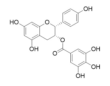 (-)-Epiafzelechin 3-O-gallate