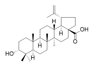Epibetulinic acid