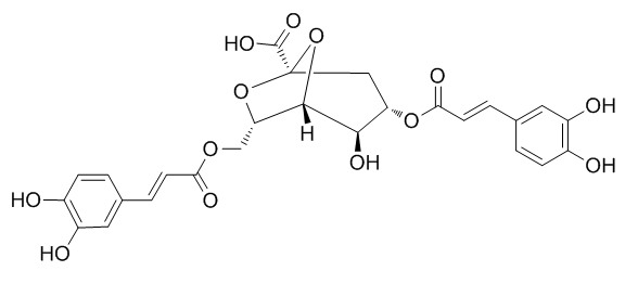 Erigoster B