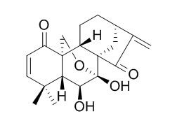 Eriocalyxin B