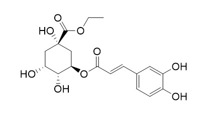 Ethyl chlorogenate