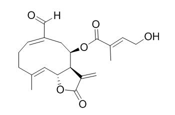 Eupahualin C