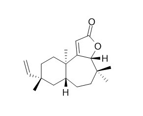 Fischeria A