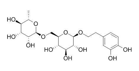 Forsythoside E