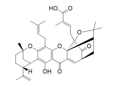 Gambogellic acid