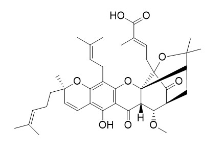 Gambogoic acid A