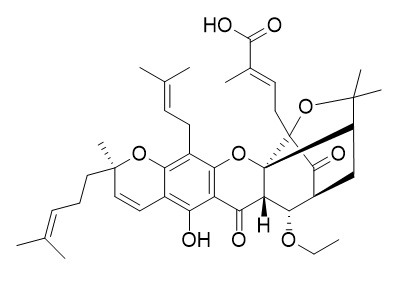 Gambogoic acid B