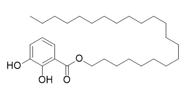 Gentiside J