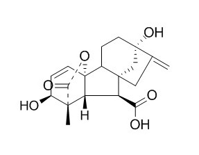 Gibberellins