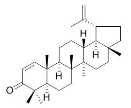 Glochidone