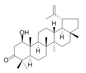 算盘子酮醇