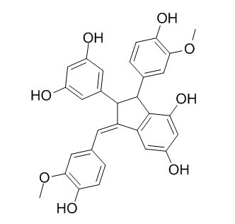 Gnetulin