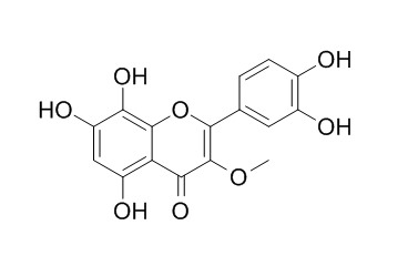 Gossypetin 3-methylether
