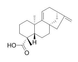 Grandiflorenic acid