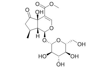 Hastatoside