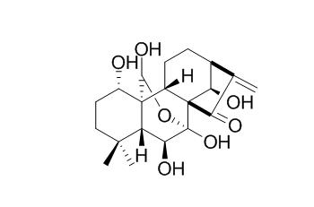 Hebeirubescensin H