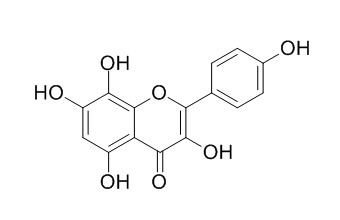 Herbacetin