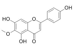 Hispidulin