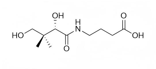 Hopantenic acid (Dexpanthenol Impurity 4)