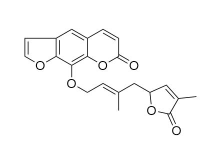 Indicolactone