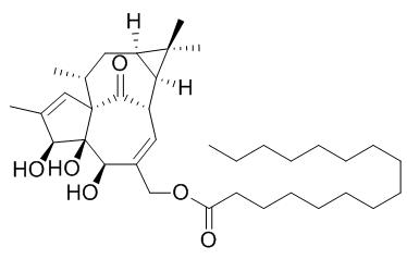 Ingenol 20-palmitate