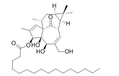 Ingenol 3-palmitate