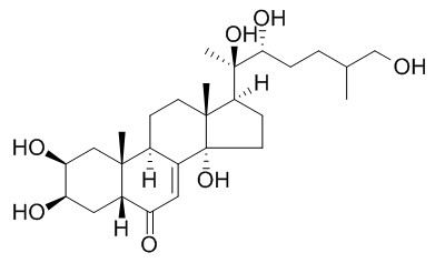 Inokosterone