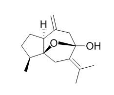 Isocurcumenol