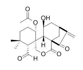 Isodonal