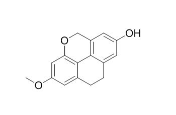 Isoflavidinin