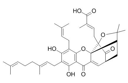 Isogambogenic acid