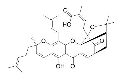 Isogambogic acid